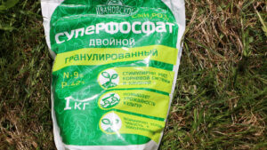 Настой крапивы: почему дает обратный эффект и как исправить за сезон